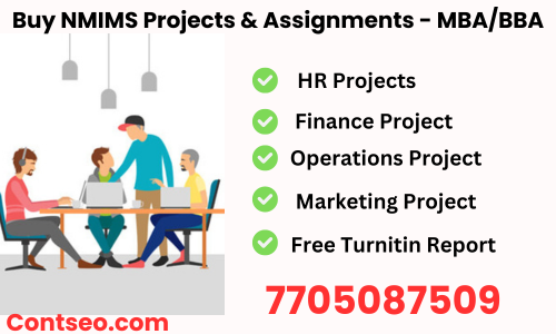 nmims mba project report services banner